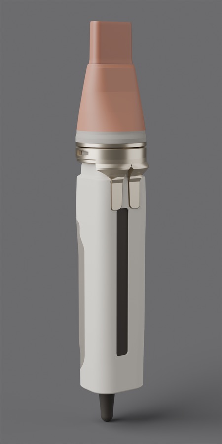 CMF direction C, mineral domestic (rejected): bone body, rose-clay attachment, champagne metal.